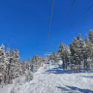 Meet your Posher, Angelika